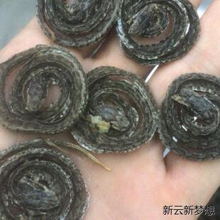 蝮蛇干腹蛇泡酒料养生蝮蛇土公蛇七寸子另售蕲蛇CRV