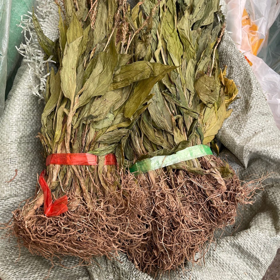 材见血清 见血青 见血莲 量大从优真货