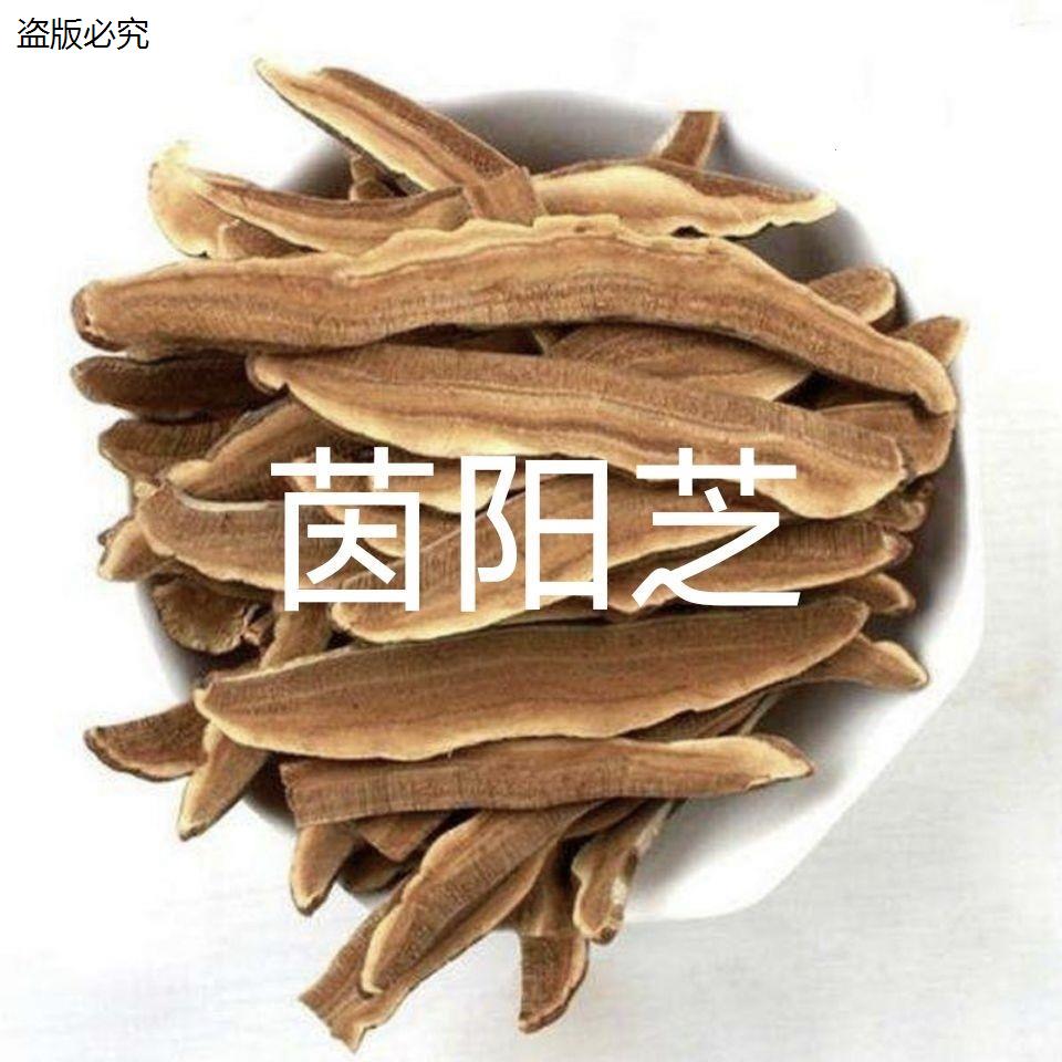 【茵阳芝】【一斤装】长白山灵芝片250-500g赤灵芝片多规格M9