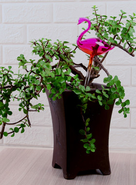 玻璃制品 创意小天鹅 蘑菇 浇花器 精致 纯手工制作 自动浇花