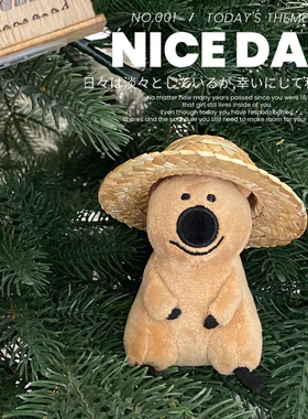 韩国代购正品 dinotaeng 袋鼠QUOKKA 柿子椒熊公仔挂件玩偶钥匙扣