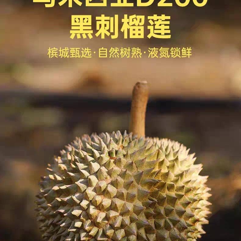 黑刺榴莲1.5-2.0斤一颗马来西亚d200包邮女朋友爱吃