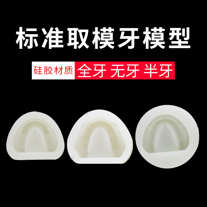 牙科标准牙模型硅橡胶口腔牙阴模无牙颌有牙印模围模模具全口备牙