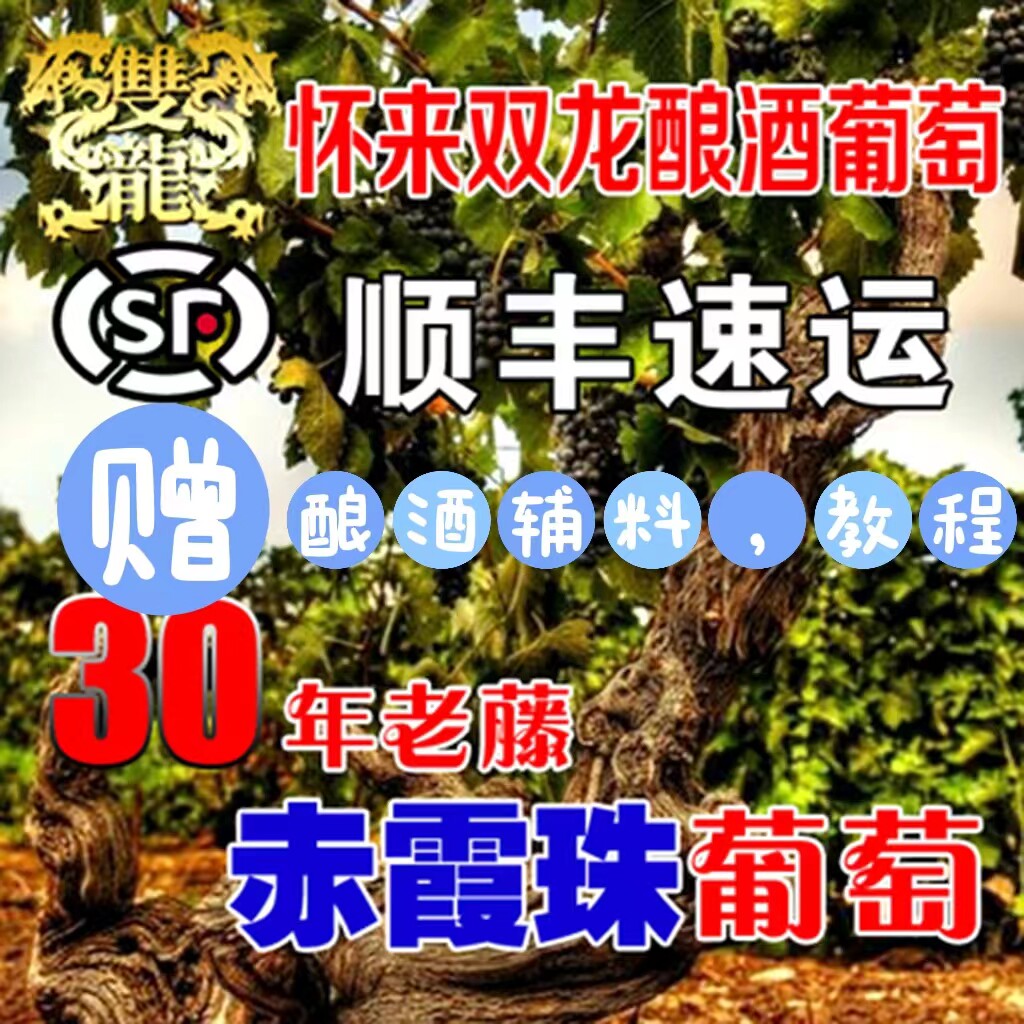 怀来双龙30年老藤赤霞珠葡萄酿葡萄/提子