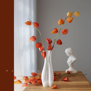 家居装饰灯笼果天然干花花束大红色酸浆果子喜庆客厅桌面软装摆设