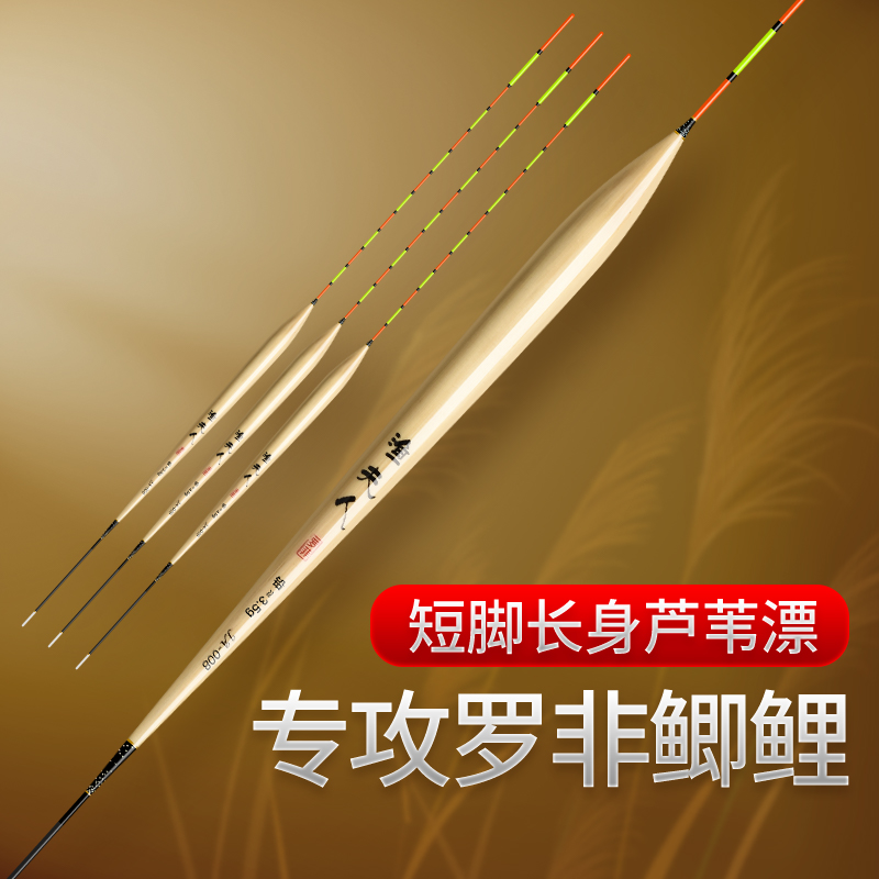 渔夫人芦苇罗非鲫鲤鱼漂