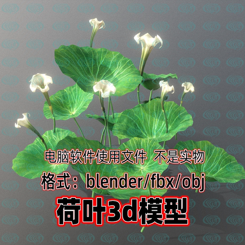 Blender maya c4d 3dmax影视游戏写实荷花荷叶花朵3d模型fbx素材
