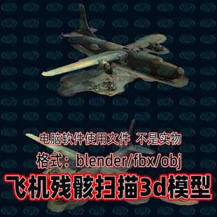 Blender maya c4d 3dmax影视游戏飞机残骸坠毁废弃飞机扫描3d模型