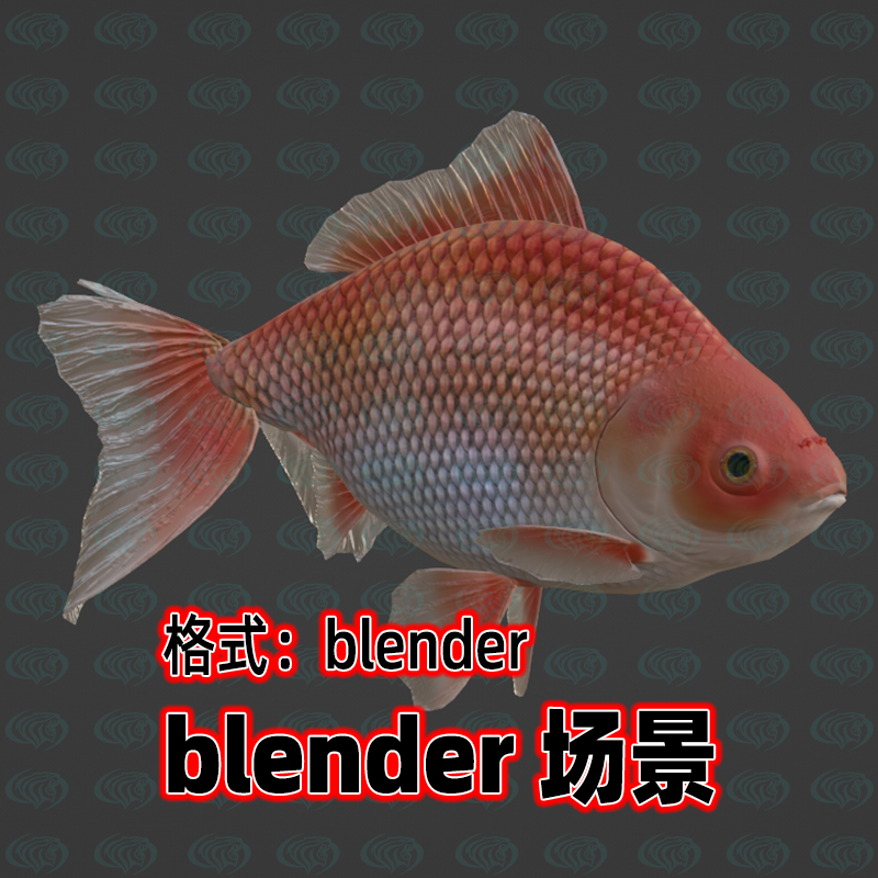 blender金鱼模型游泳动画建模灯光渲染素材带骨骼绑定控制器动作