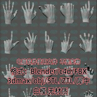 Zbrush手姿势手部握拳头手掌3D模型ZTL obj STL打印模型fbx