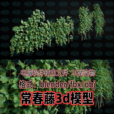 Blender maya c4d 3dmax影视游戏植物常春藤树叶树枝3d模型素材
