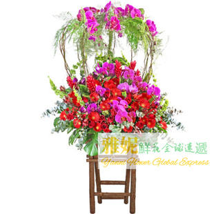 香港花店演唱會訂高端花籃花牌開張慶典速遞紅館磡送開業商務送花
