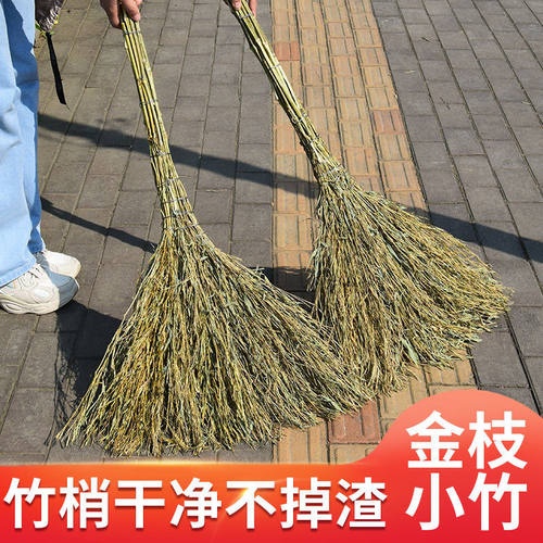 金枝小竹扫把户外庭院马路
