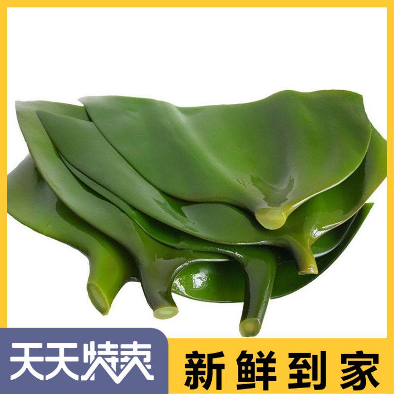 海带头8斤 盐渍海带丝根 新鲜海藻火锅 非干货 凉拌卤菜小吃昆明