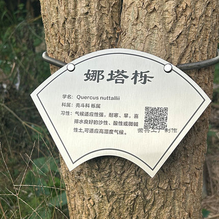 树牌弹簧拉簧挂绳挂链链条304不锈钢可伸缩不伤树木植物示牌定制