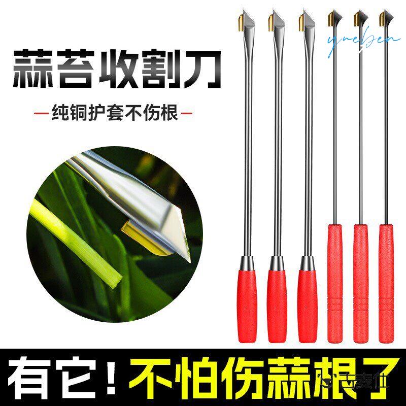 蒜苔收割刀蒜薹蒜苔剥拔划蒜薹神器不锈钢拔剥提打蒜苔划蒜苗工具