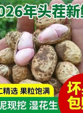 2026年新鲜湿花生带壳花生农家鲜花生红色黑色现挖新鲜嫩花生