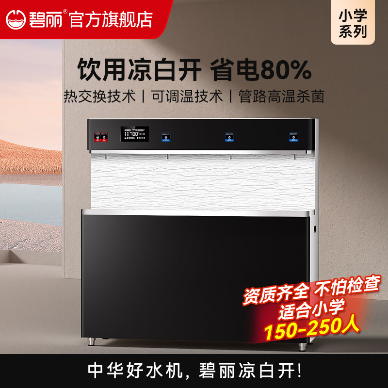 碧丽商用净水器加热一体节能温开