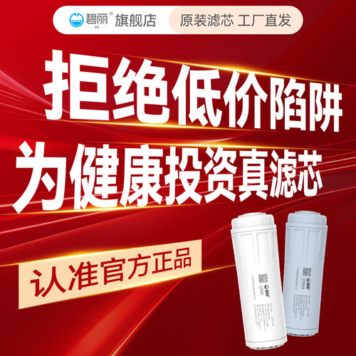 原装正品碧丽滤芯RO膜PP棉活性炭