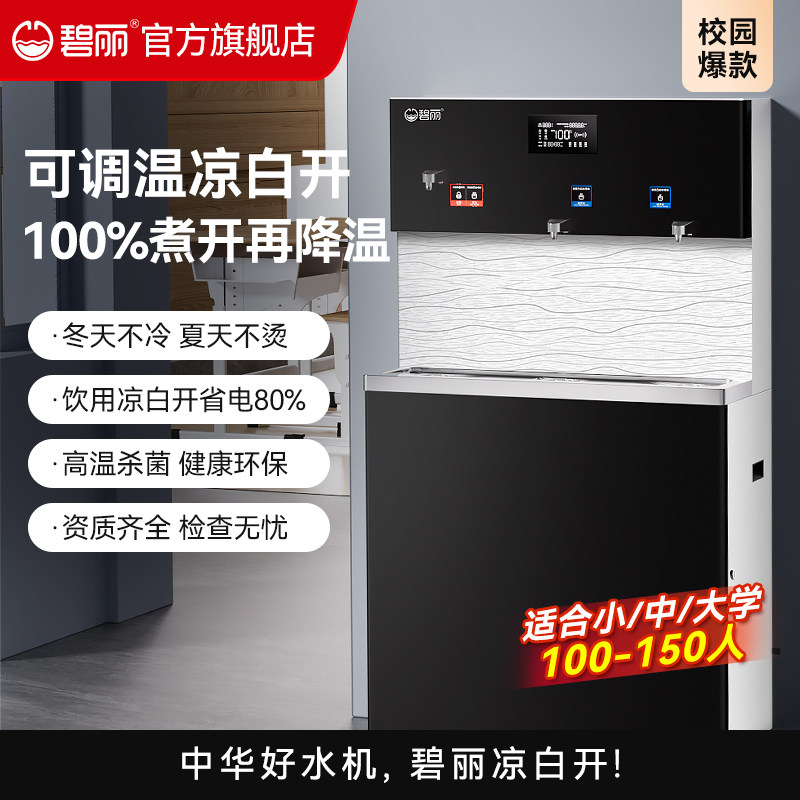 碧丽商用净水器反渗透加热一体