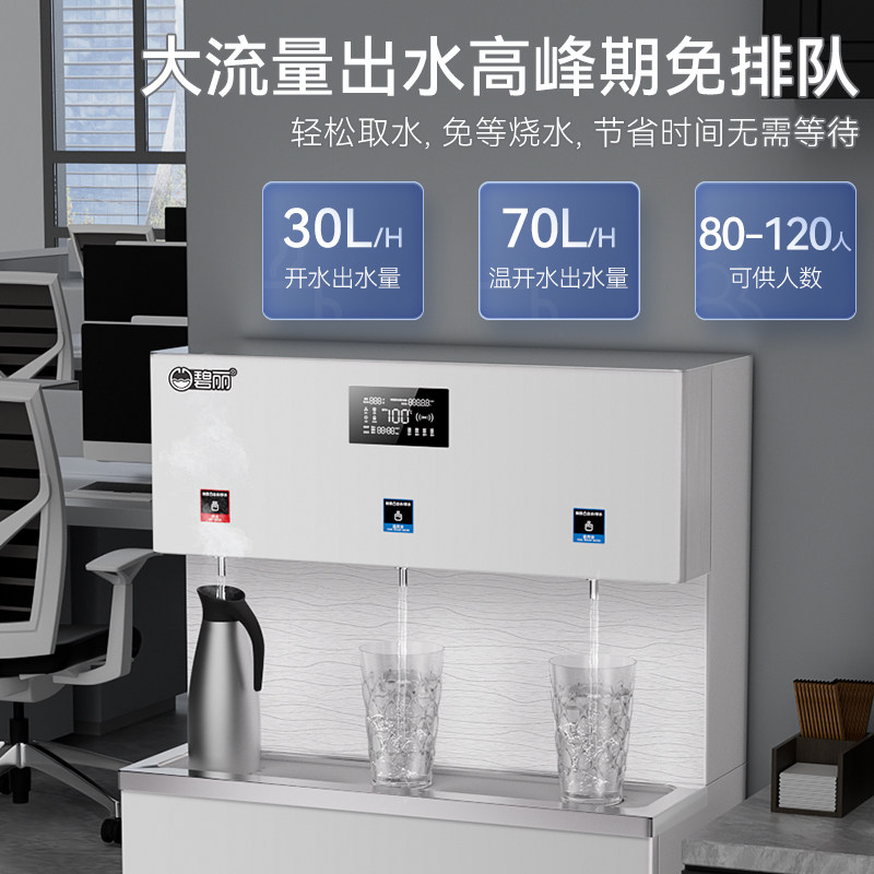 碧丽商用净水器加热一体节能温开