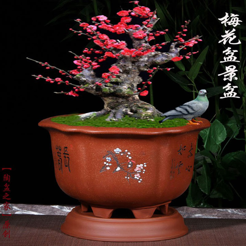 紫砂花盆六方形梅花专用盆景盆榕树桩盆栽室内植物大号陶瓷带底座