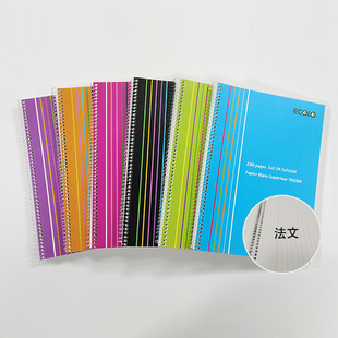 SEYES法文笔记本70克加厚本白 外贸超厚120张A4塑料线圈本5mm方格