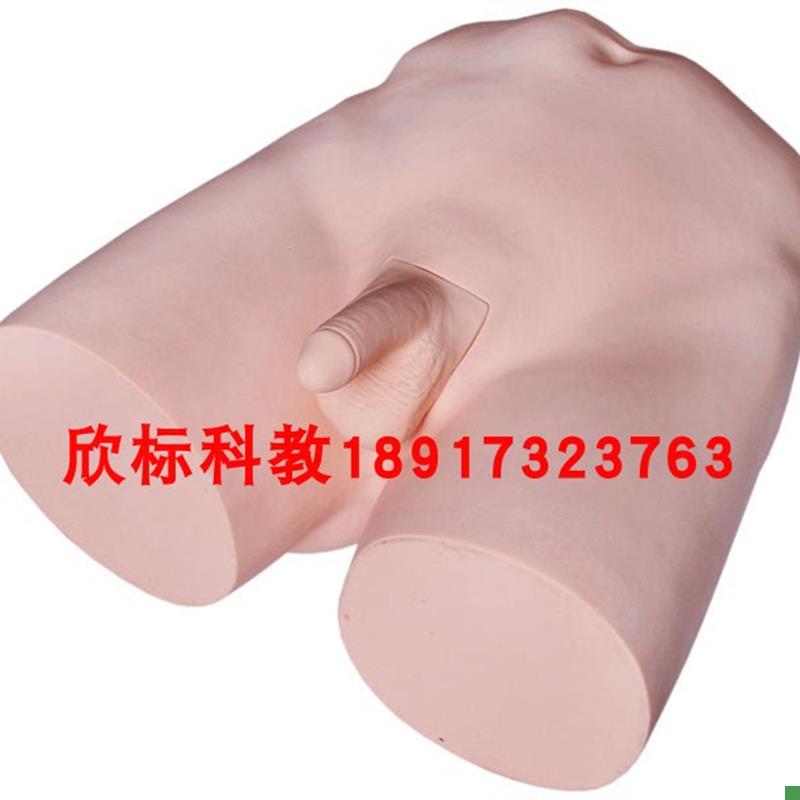 输精管结扎术训练模型护士培训结扎H术训练模型教学结扎术模型