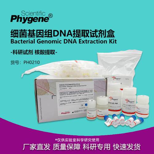 菌基因组DNA提取试剂盒50T/100T科研实验PH0210LPHYGENE