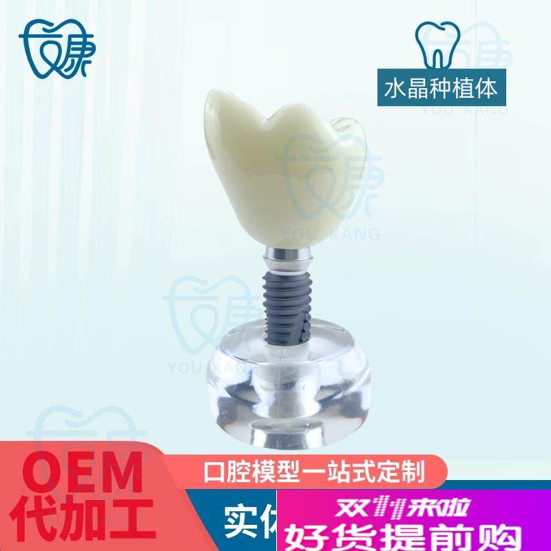 水晶种植体模型透明牙科模型教学医患J沟通模型诊室摆件齿科材料