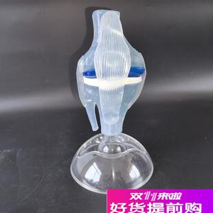人体透明膝关节功能模型人体骨科骨I骼教学模型医患沟通模型
