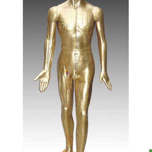 中医标准人e体针灸铜人84CM(青铜色)练习假人经络模具穴位橡皮人