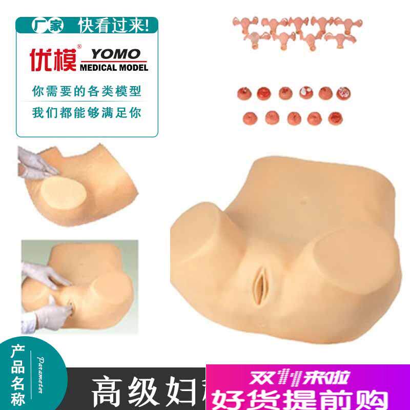妇科检查训练模型m示教异常子宫触诊附件模型腹腔盆腔教学模具
