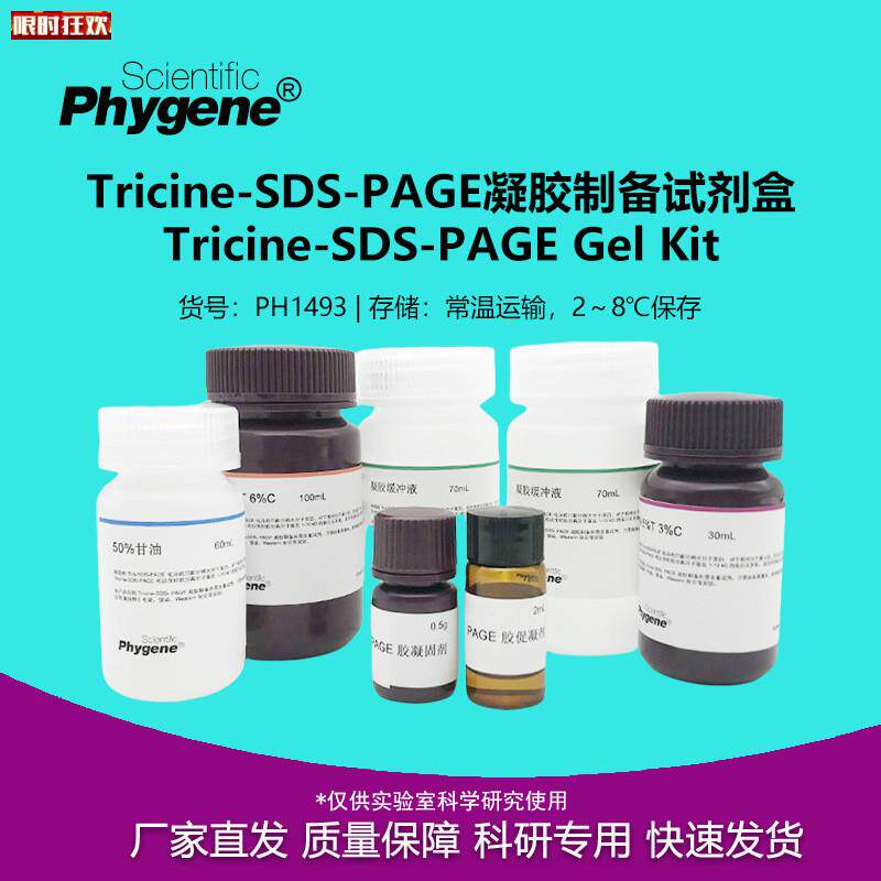 ricine-SDS-PAGE凝胶制备试剂盒多肽小分子D蛋白制胶PHYGENE