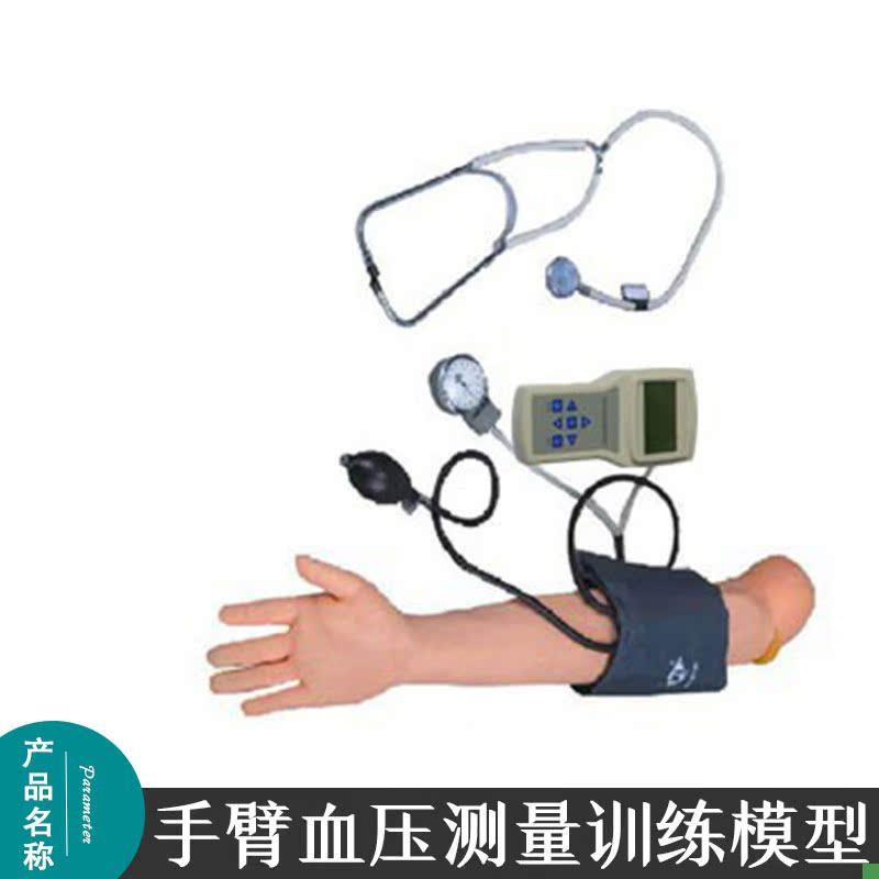 手臂血压测量训练模型控制器C带声音动态显示成人仿真手臂