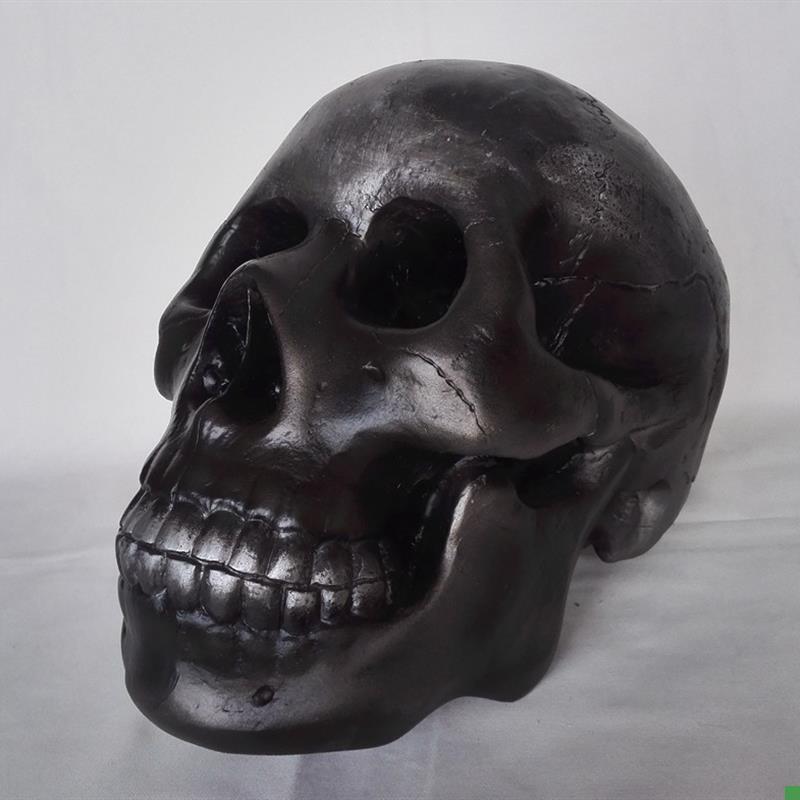 骷髅头大猩猩头骨模型骨骼骨架教学模Z型医用教具