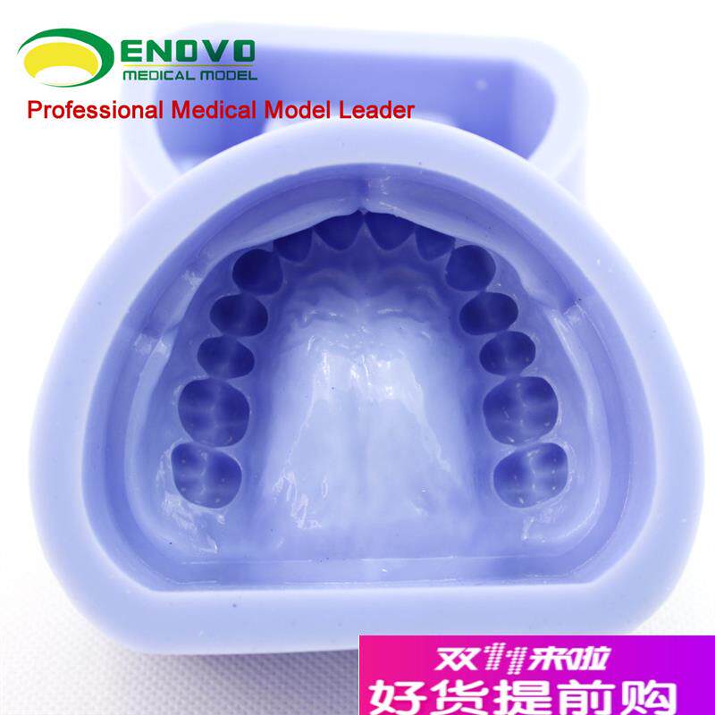 颐诺正品b硅胶标准牙颌硅橡胶阴模口腔技工口腔科齿科牙颌石膏