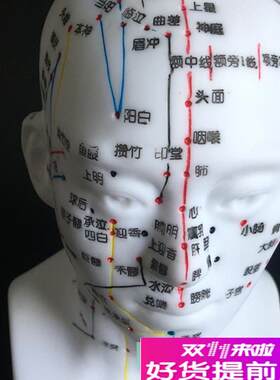 刻字工艺头部针灸穴位经络人体A头部针灸模型按摩针灸模型包邮