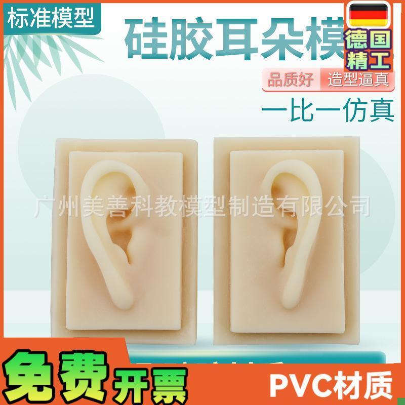 成人11b仿真耳朵模型人体耳朵耳膜型硅胶针灸耳朵(右耳)