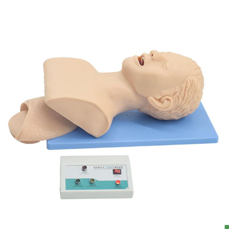 气管插管训练模型带牙齿压力I报警成人气管插管模型