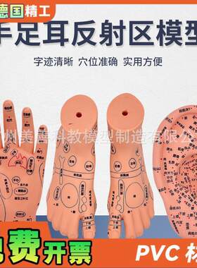 脚穴位模型足部底耳模耳朵手经络手部推拿针灸足底脚.模反射模型