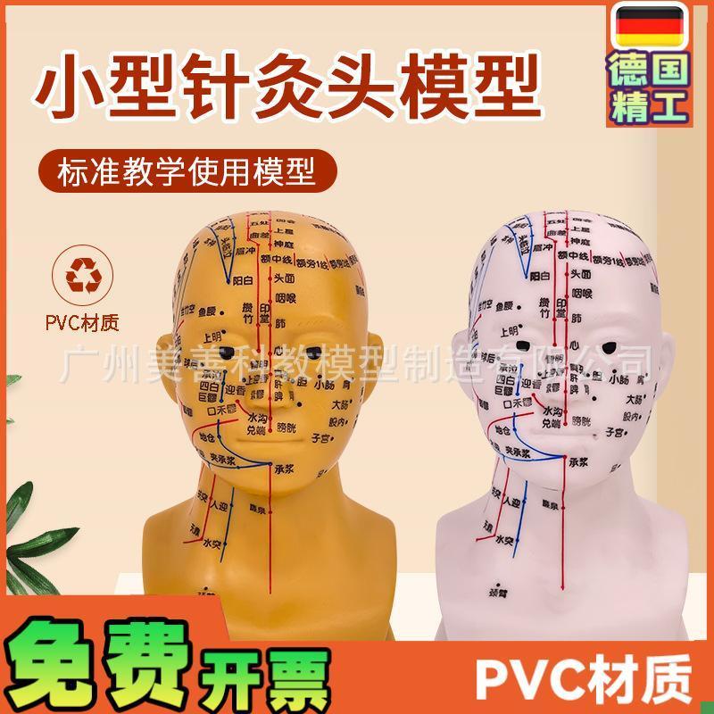 头部针灸穴位模型人体p头部针灸模型20CM小型头部四功能针灸模型
