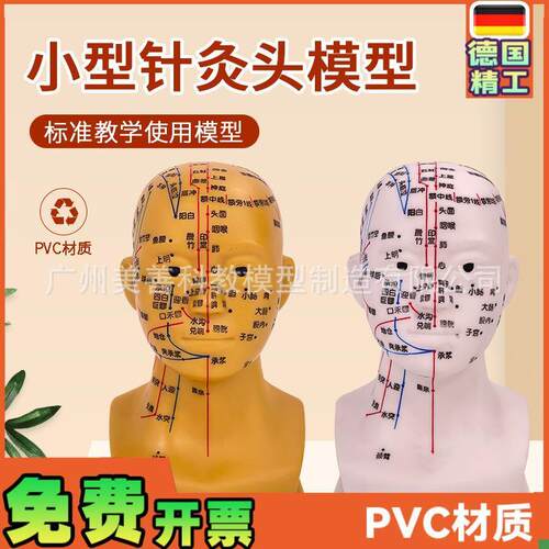 头部针灸穴位模型人体p头部针灸模型20CM小型头部四功能针灸模型