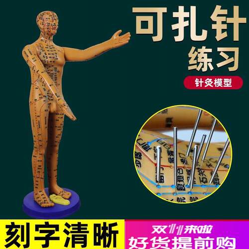 董氏奇穴穴位f人体模型十二经络模特图全身中医针灸教学培训小铜