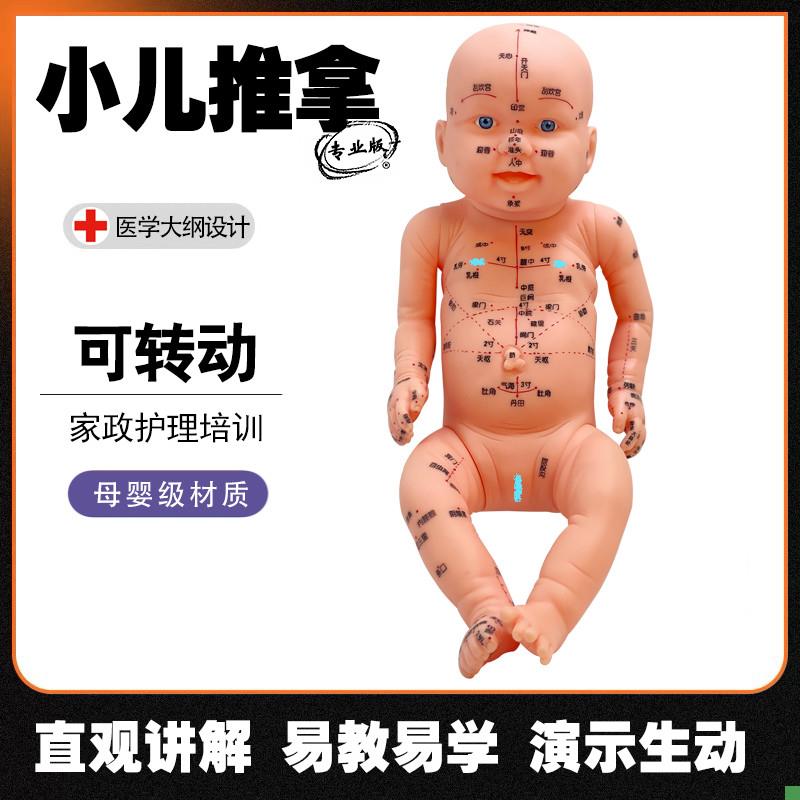 小儿推拿模型全身穴位家政月嫂培训教学J模型宝妈学习练手仿真娃