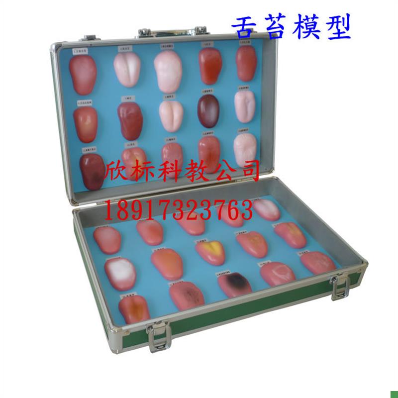 舌苔模型舌像模型30种正常舌苔及各种疾病在舌T苔上的病态变症状