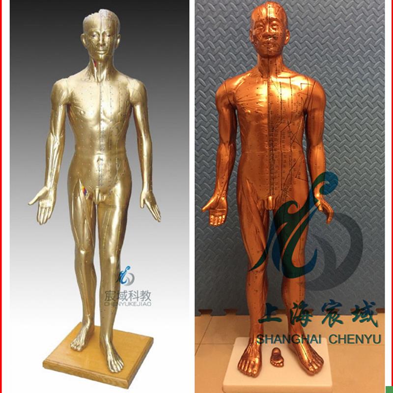超清晰经络通针灸q铜人人体穴位模型中医针灸人模