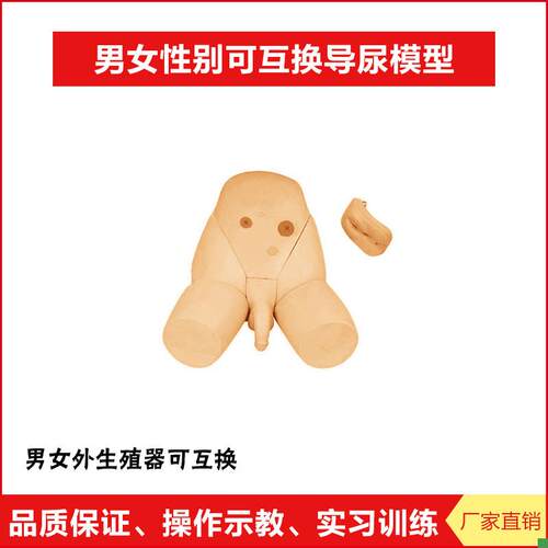 男女性别可互换护理导尿模型结肠造瘘口护P理模块厂家直销正品