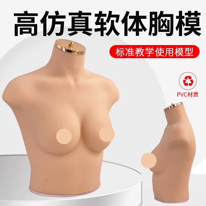 内衣文胸橱窗展示拍摄道具女半身硅胶软体仿真人模特7W5B/C胸模
