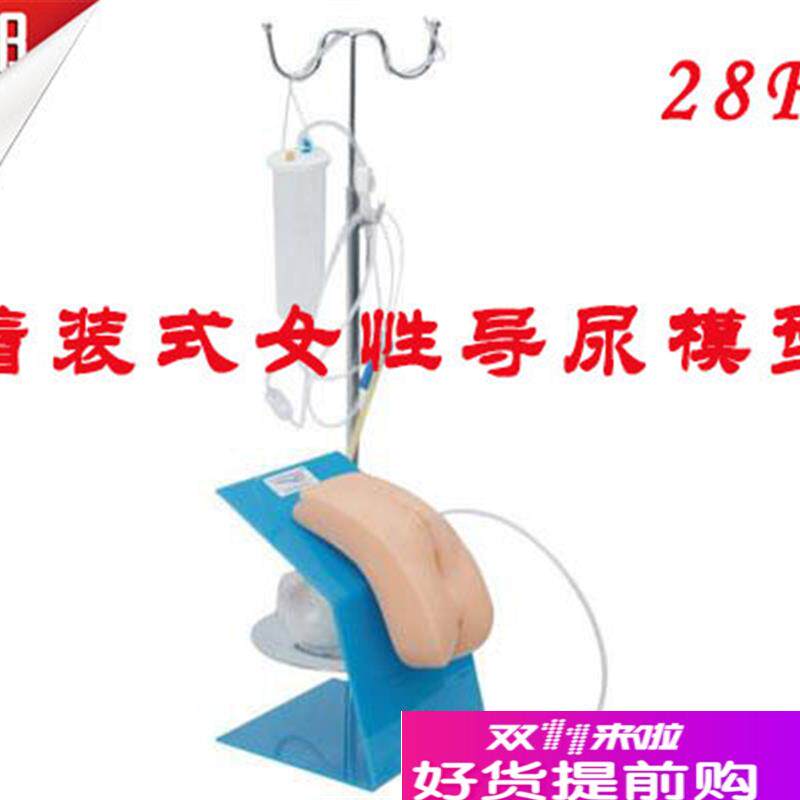 着装式女性导尿模型女性导尿术E练习模型导尿操作实习模型